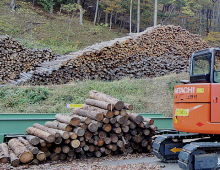 ペレット工場の間伐材は、夏と変わらず、たくさん積み上げられていました。